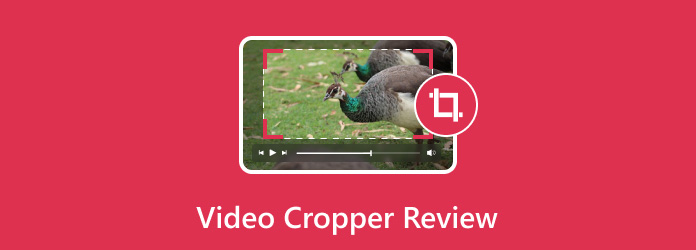 Video Cropper Review