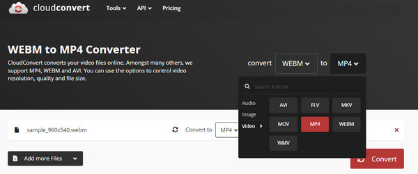 Cloud Convert WebM MP4