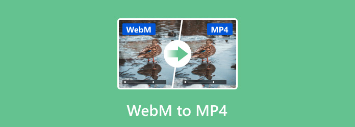 WebM to MP4