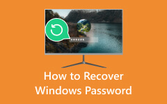 Recover Windows Password