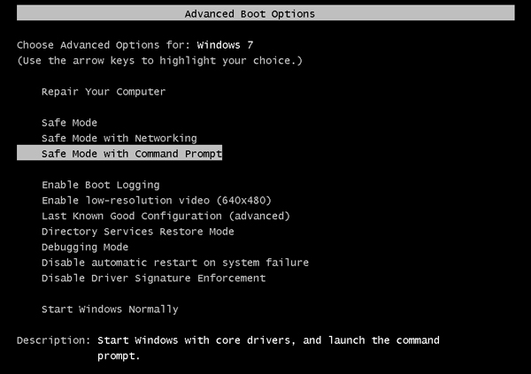 Advanced Boot Options