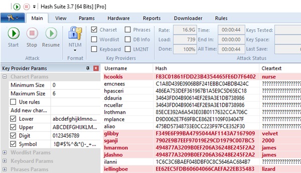 Hash Suite Interface